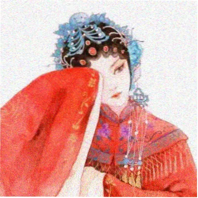 读者苏女士头像